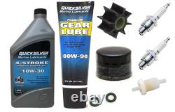 Annual Service Kit for 15HP 20HP Tohatsu MFS15 MFS20 Outboard Impeller Plug Oil